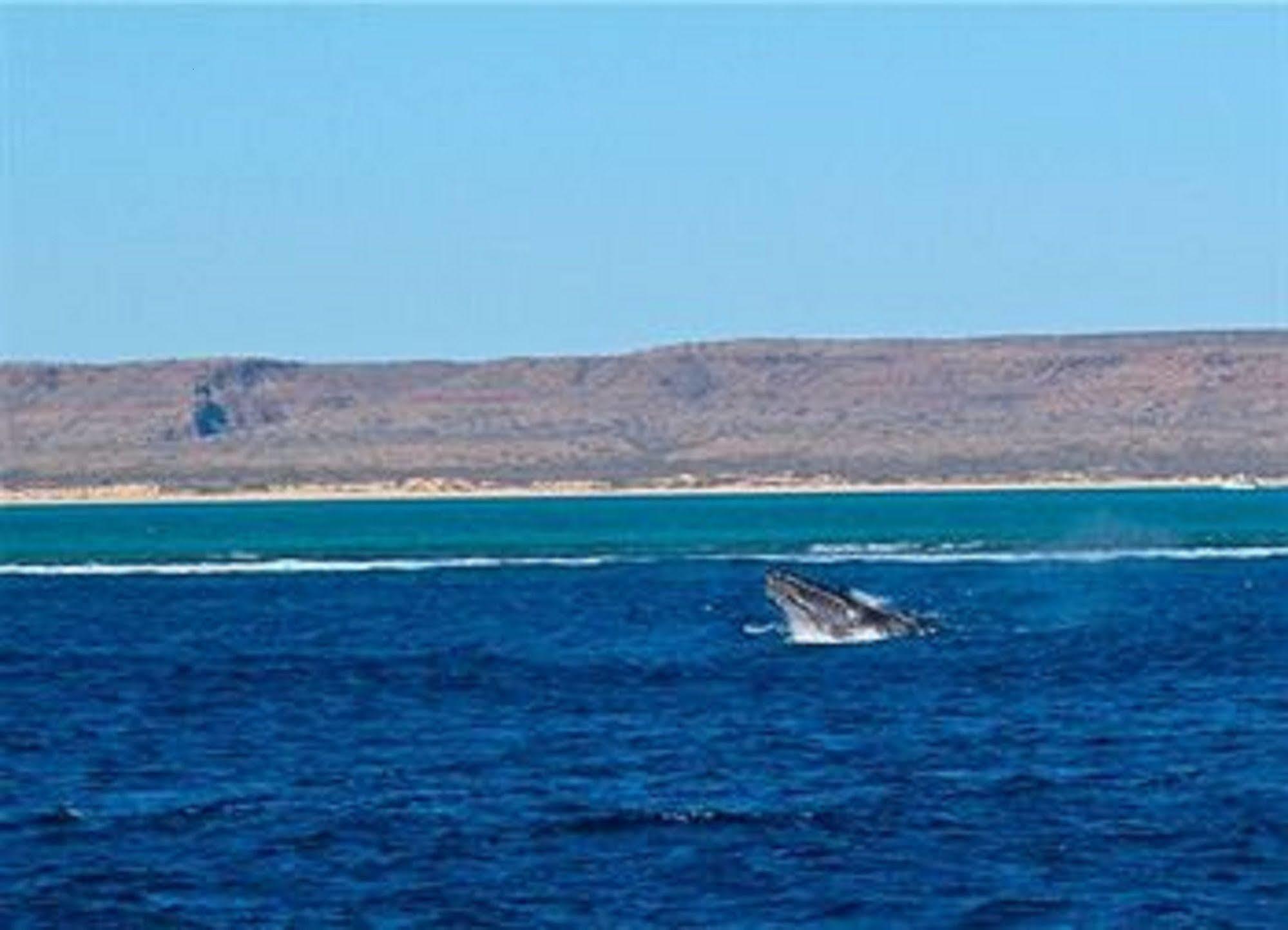 Sea Breeze Resort Exmouth Facilités photo